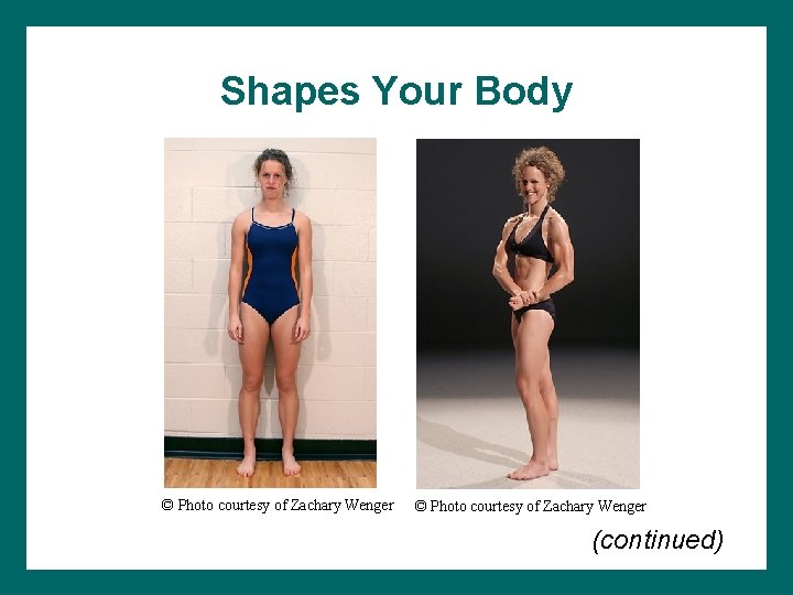 Shapes Your Body © Photo courtesy of Zachary Wenger (continued) 