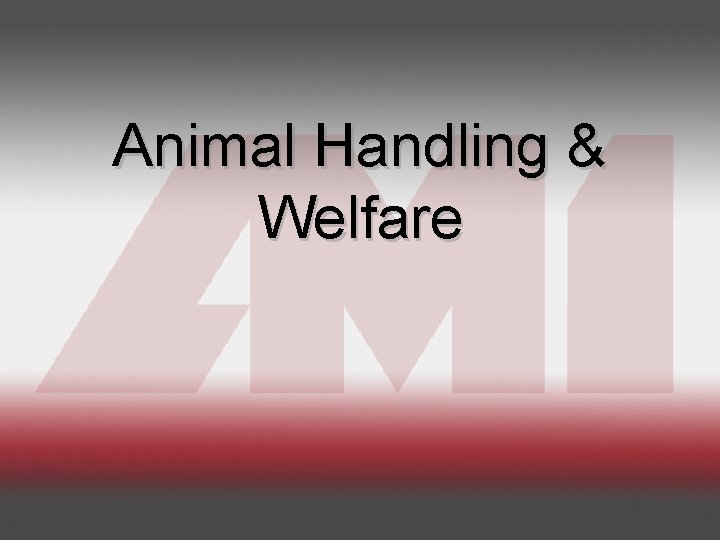 Animal Handling & Welfare 