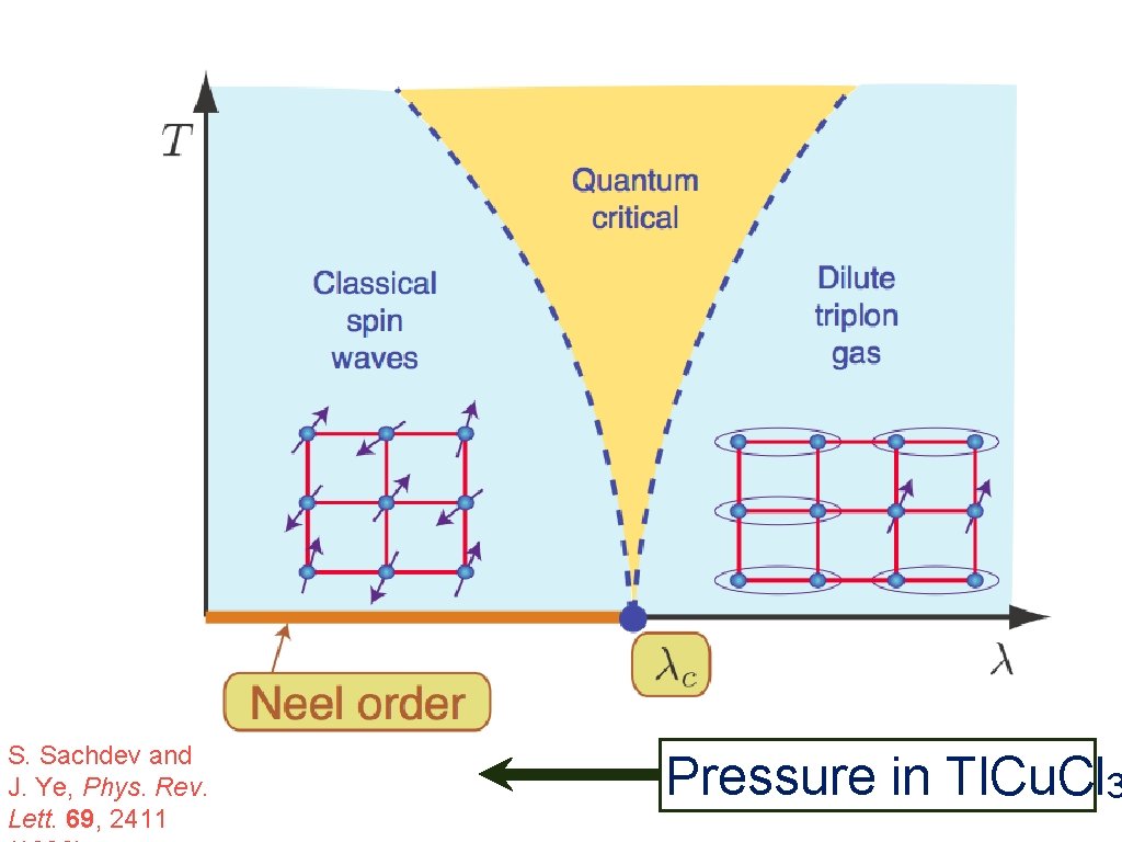 S. Sachdev and J. Ye, Phys. Rev. Lett. 69, 2411 Pressure in Tl. Cu.