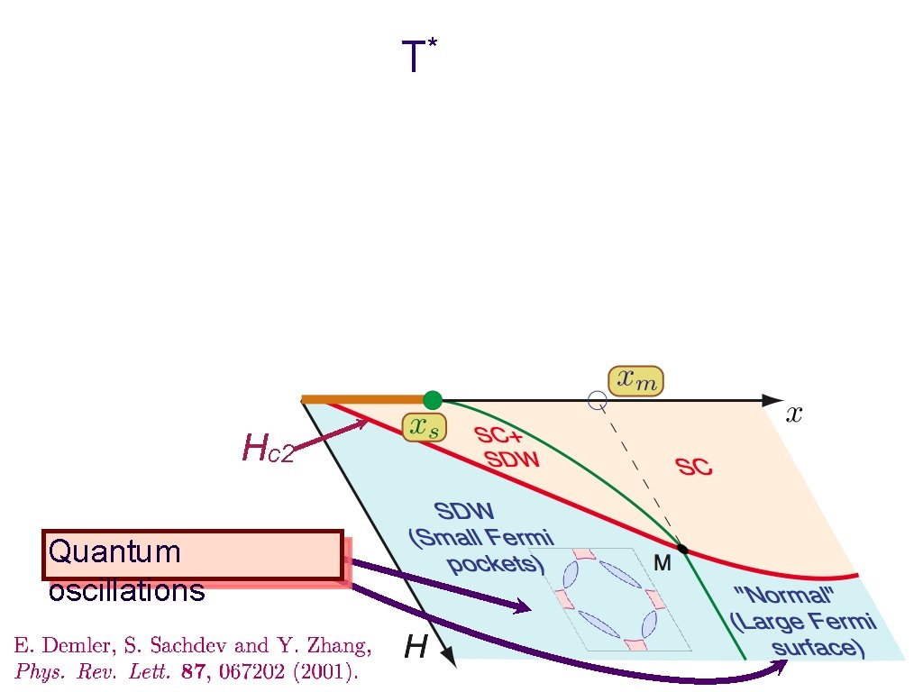 T* Hc 2 Quantum oscillations 