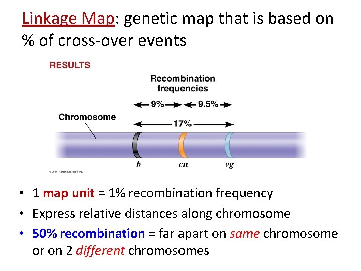 Linkage Map: genetic map that is based on % of cross-over events • 1 Linkage Map: genetic map that is based on % of cross-over events • 1