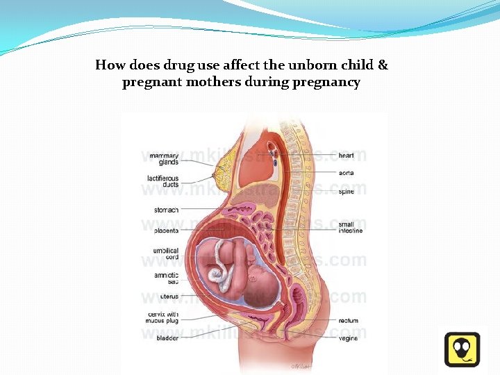 How does drug use affect the unborn child & pregnant mothers during pregnancy 