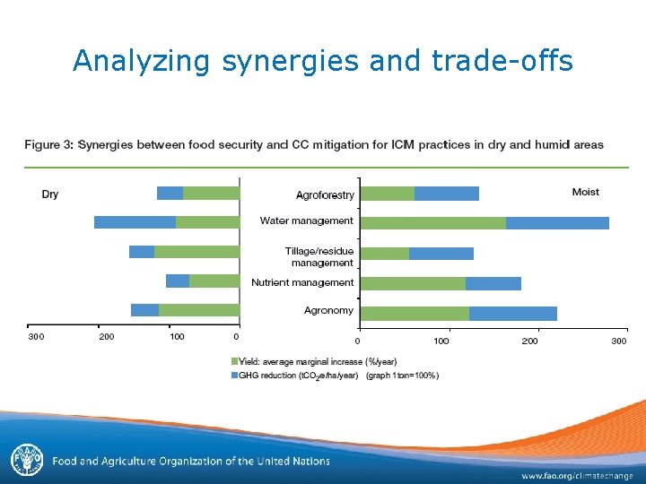 Analyzing synergies and trade-offs 