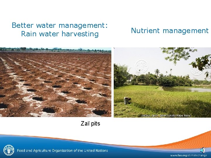 Better water management: Rain water harvesting Zaï pits Nutrient management 