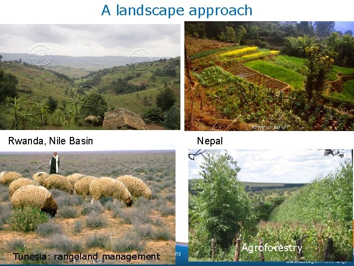 A landscape approach Rwanda, Nile Basin Tunesia: rangeland management Nepal Agroforestry 