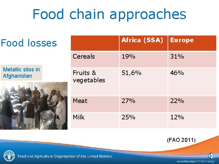 Food chain approaches Africa (SSA) Europe Cereals 19% 31% Fruits & vegetables 51, 6%