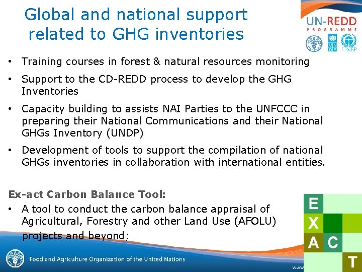 Global and national support related to GHG inventories • Training courses in forest &