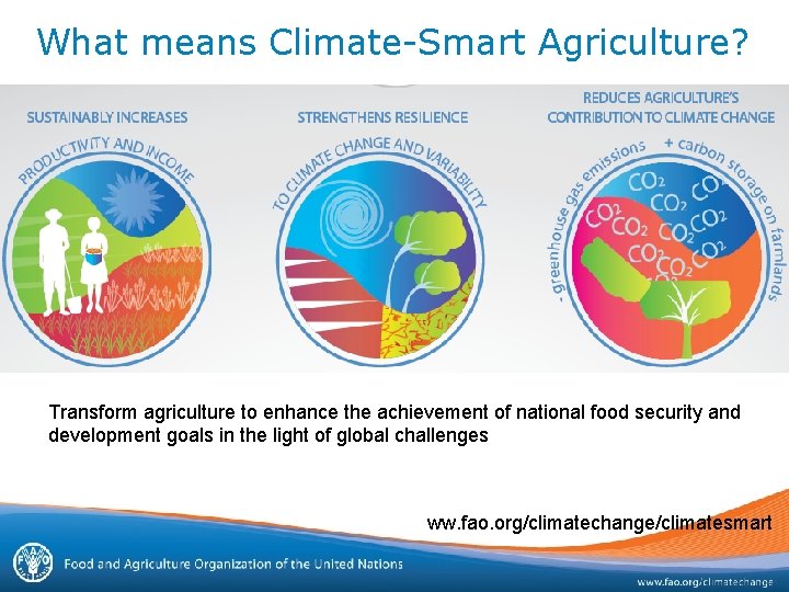 Long-term Adaptation - Towards Climate. What means Climate-Smart Agriculture? Smart Agricultural Landscapes Transform agriculture