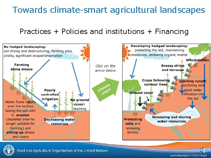 Towards climate-smart agricultural landscapes Practices + Policies and institutions + Financing 