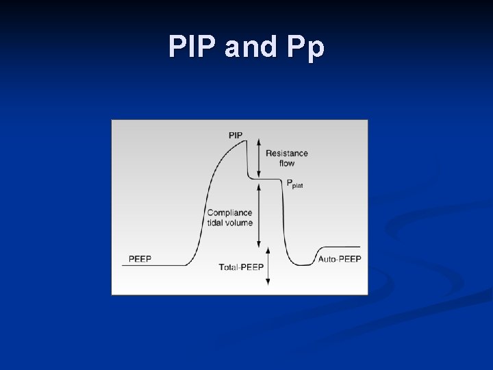 PIP and Pp 