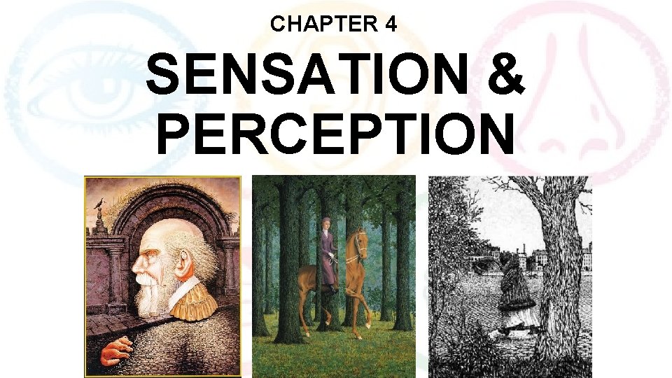 CHAPTER 4 SENSATION & PERCEPTION 