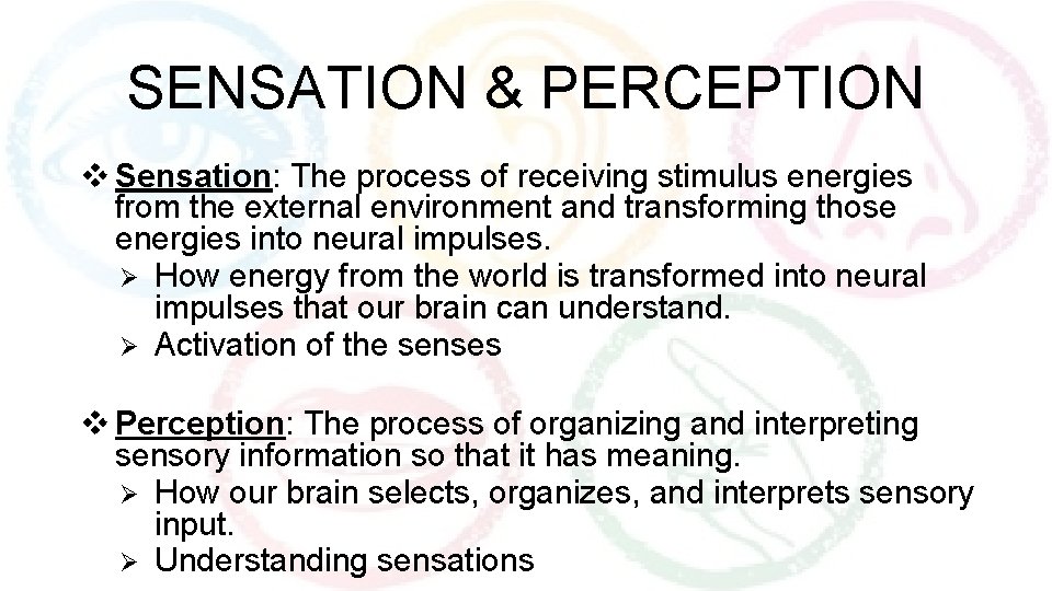 SENSATION & PERCEPTION v Sensation: The process of receiving stimulus energies from the external