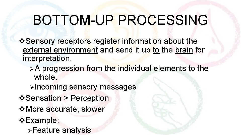 BOTTOM-UP PROCESSING v. Sensory receptors register information about the external environment and send it