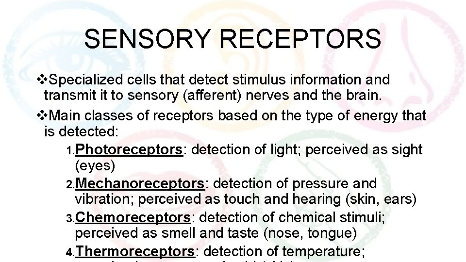 SENSORY RECEPTORS v. Specialized cells that detect stimulus information and transmit it to sensory