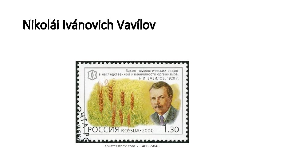 Nikolái Ivánovich Vavílov 