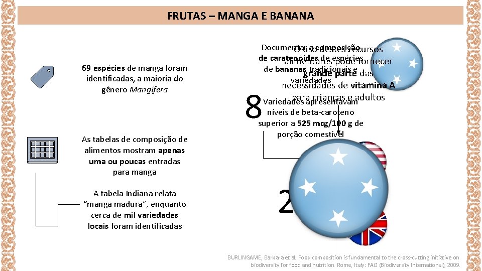 FRUTAS – MANGA E BANANA 69 espécies de manga foram identificadas, a maioria do