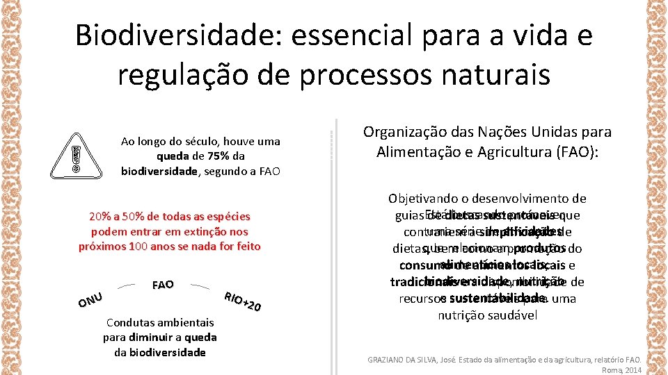 Biodiversidade: essencial para a vida e regulação de processos naturais Ao longo do século,