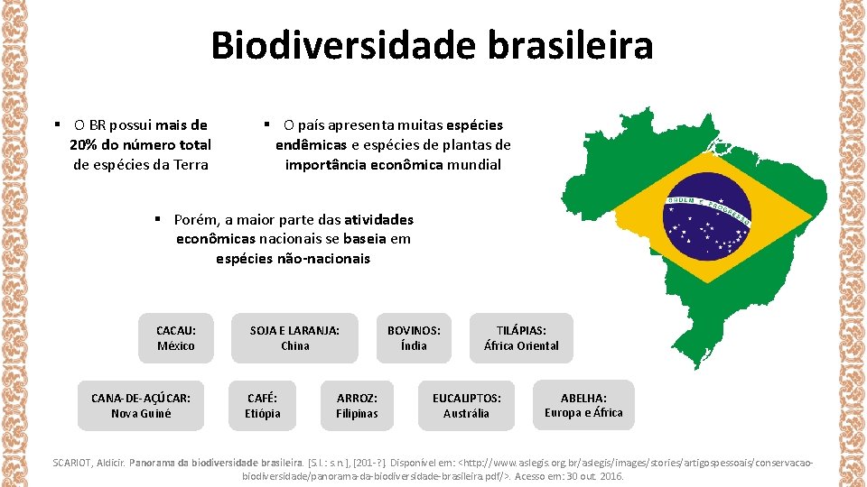 Biodiversidade brasileira § O BR possui mais de 20% do número total de espécies