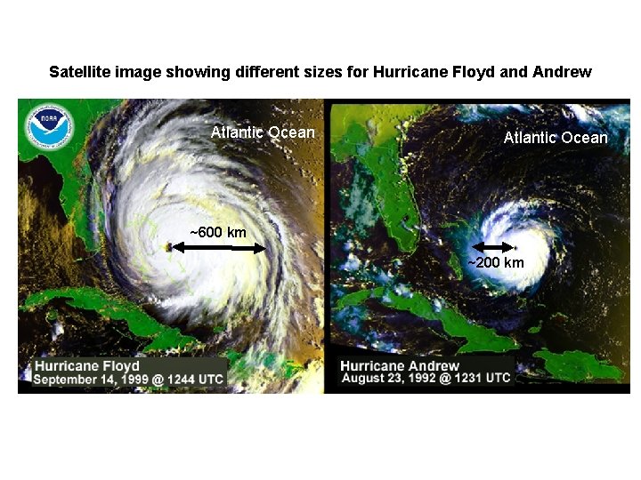 Satellite image showing different sizes for Hurricane Floyd and Andrew Atlantic Ocean ~600 km