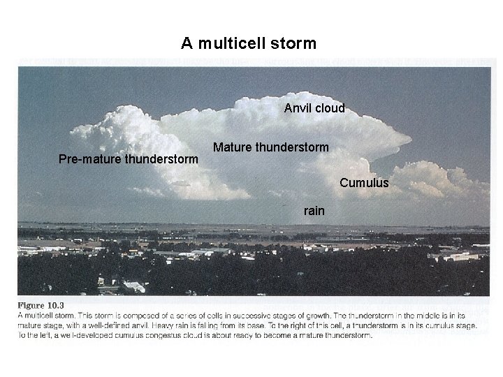 A multicell storm Anvil cloud Pre-mature thunderstorm Mature thunderstorm Cumulus rain 