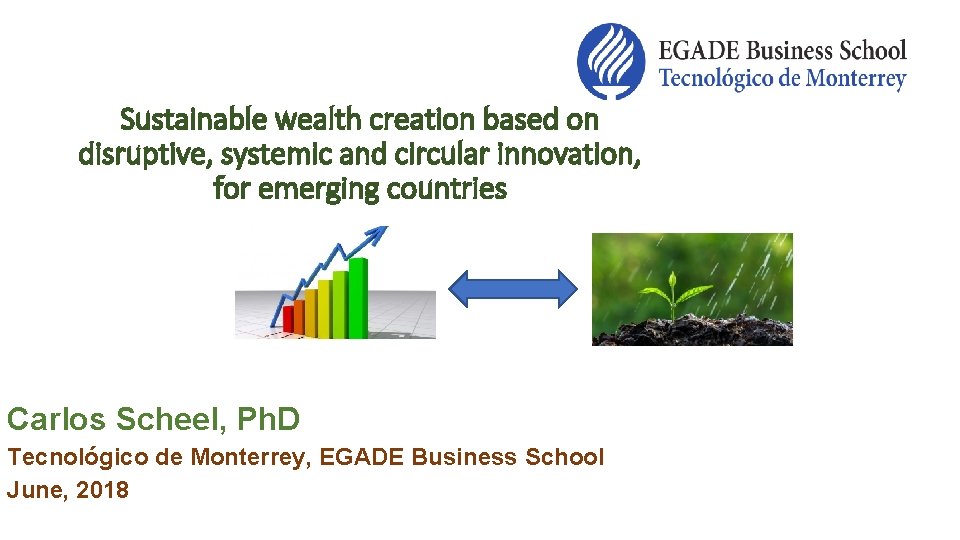 Sustainable wealth creation based on disruptive, systemic and circular innovation, for emerging countries Carlos