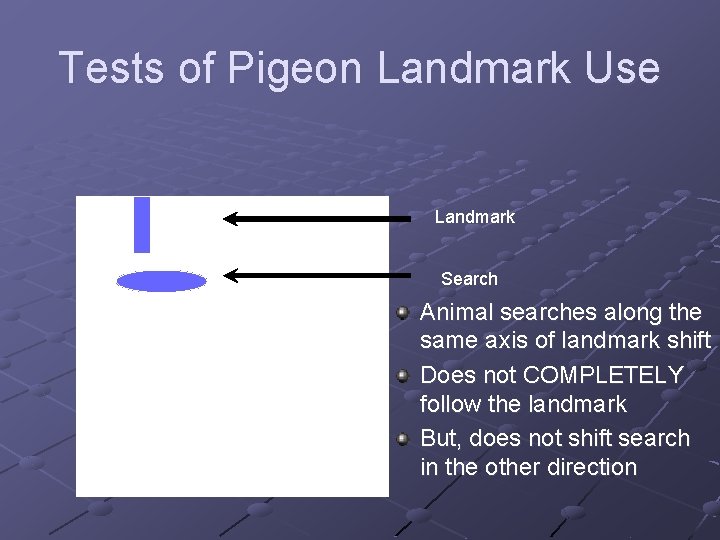 Tests of Pigeon Landmark Use Landmark Search Animal searches along the same axis of