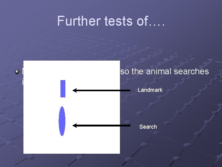 Further tests of…. Now the shift is up down, so the animal searches in