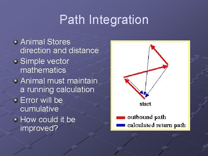 Path Integration Animal Stores direction and distance Simple vector mathematics Animal must maintain a