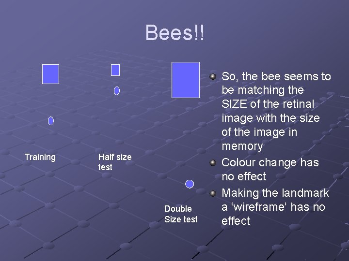 Bees!! Training Half size test Double Size test So, the bee seems to be