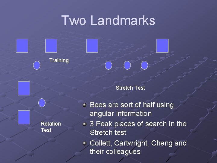 Two Landmarks Training Stretch Test Rotation Test Bees are sort of half using angular