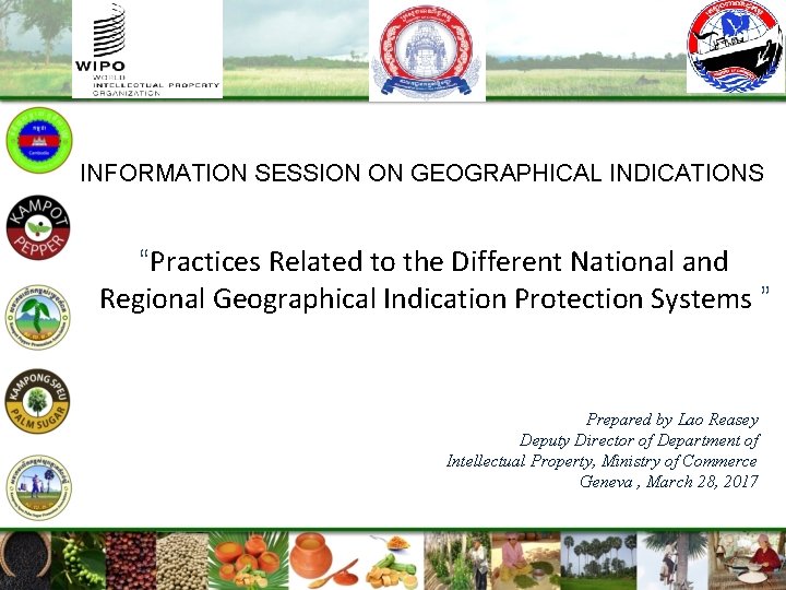 INFORMATION SESSION ON GEOGRAPHICAL INDICATIONS “Practices Related to the Different National and Regional Geographical