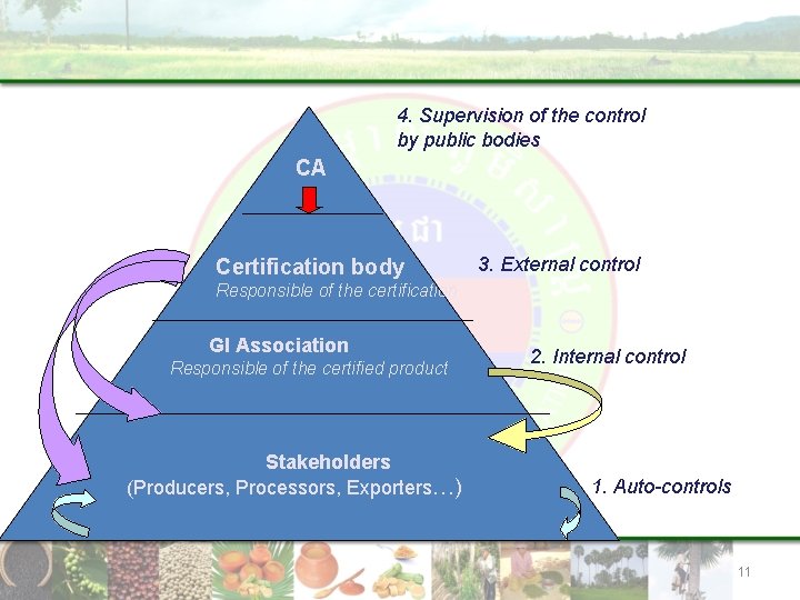 4. Supervision of the control by public bodies CA Certification body 3. External control