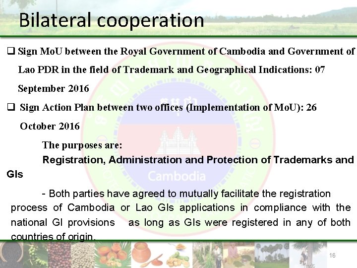 Bilateral cooperation q Sign Mo. U between the Royal Government of Cambodia and Government