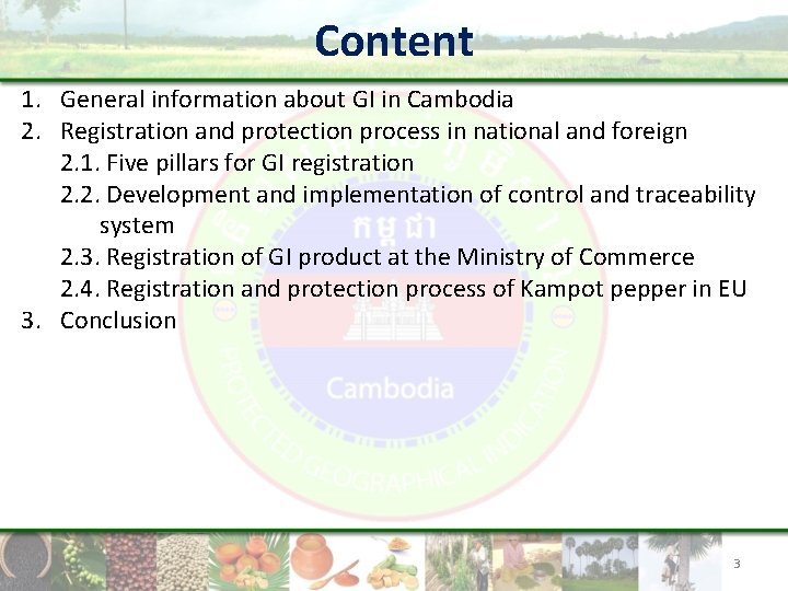 Content 1. General information about GI in Cambodia 2. Registration and protection process in