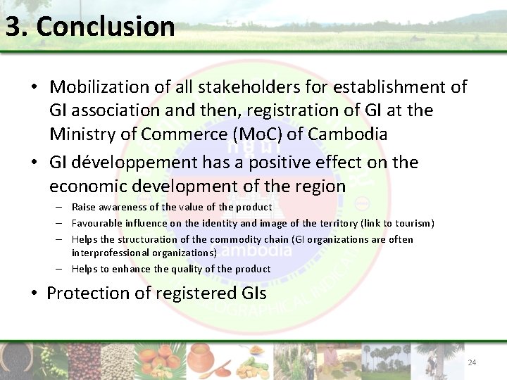 3. Conclusion • Mobilization of all stakeholders for establishment of GI association and then,