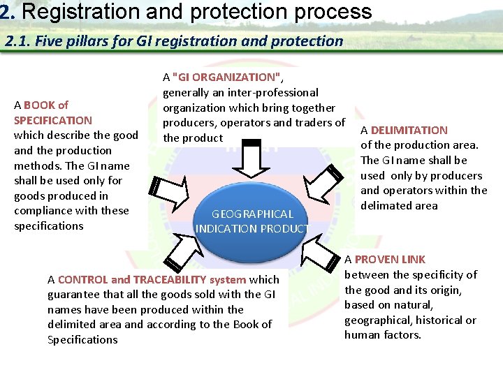 2. Registration and protection process 2. 1. Five pillars for GI registration and protection