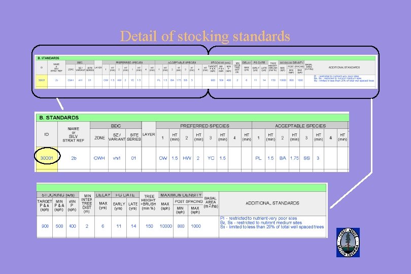 Detail of stocking standards 