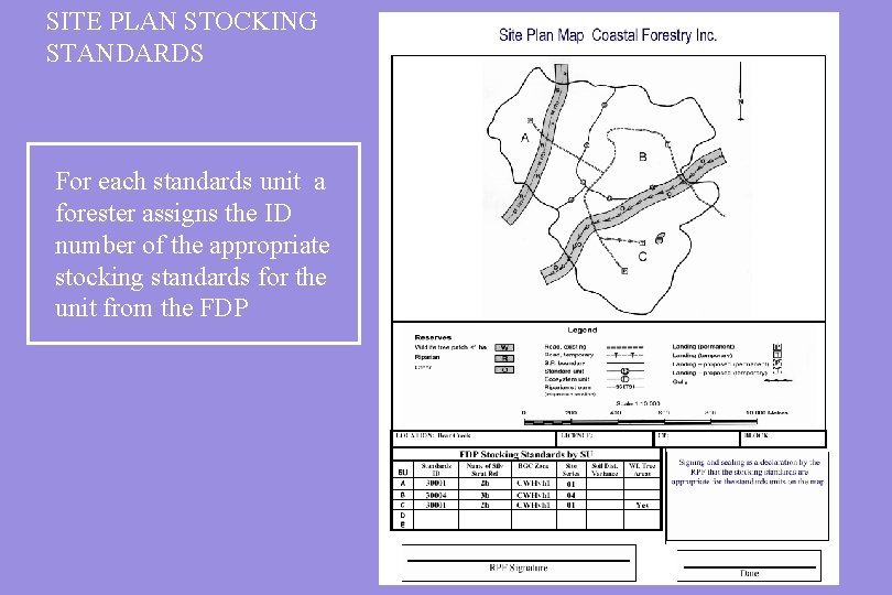 SITE PLAN STOCKING STANDARDS For each standards unit a forester assigns the ID number