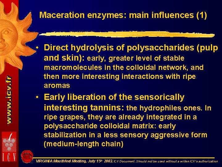 Maceration enzymes: main influences (1) • Direct hydrolysis of polysaccharides (pulp and skin): early,