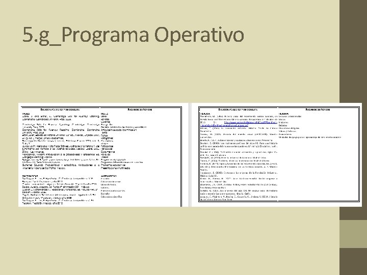 5. g_Programa Operativo 