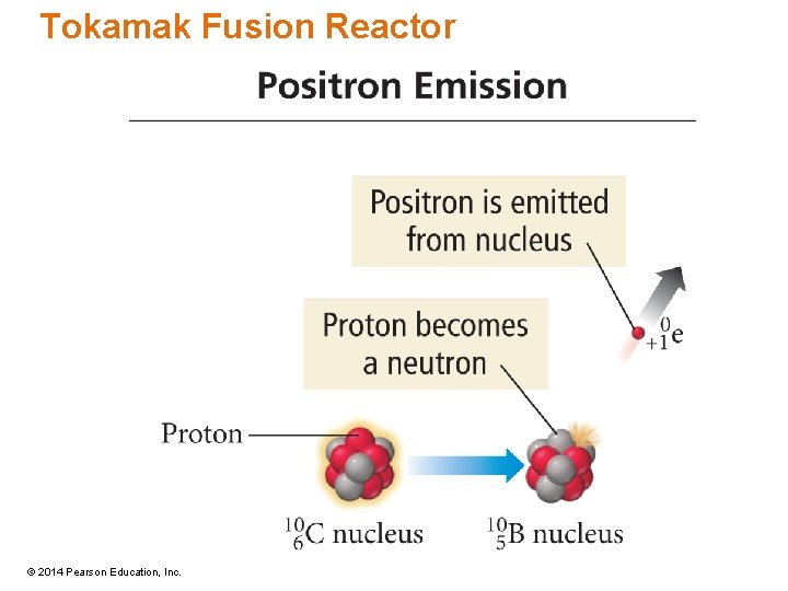 Tokamak Fusion Reactor © 2014 Pearson Education, Inc. 