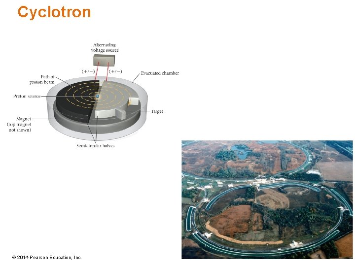 Cyclotron © 2014 Pearson Education, Inc. 