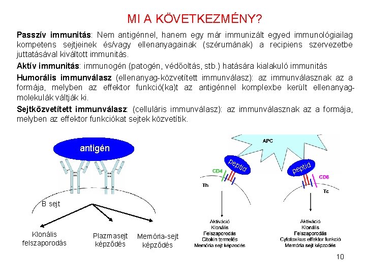 MI A KÖVETKEZMÉNY? Passzív immunitás: Nem antigénnel, hanem egy már immunizált egyed immunológiailag kompetens