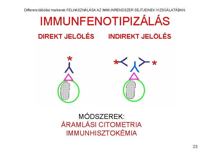 Differenciálódási markerek FELHASZNÁLÁSA AZ IMMUNRENDSZER SEJTJEINEK VIZSGÁLATÁBAN: IMMUNFENOTIPIZÁLÁS MÓDSZEREK: ÁRAMLÁSI CITOMETRIA IMMUNHISZTOKÉMIA 23 