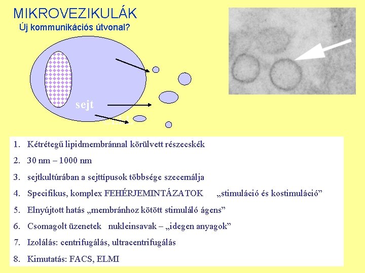 MIKROVEZIKULÁK Új kommunikációs útvonal? sejt CELL 1. Kétrétegű lipidmembránnal körülvett részecskék 2. 30 nm