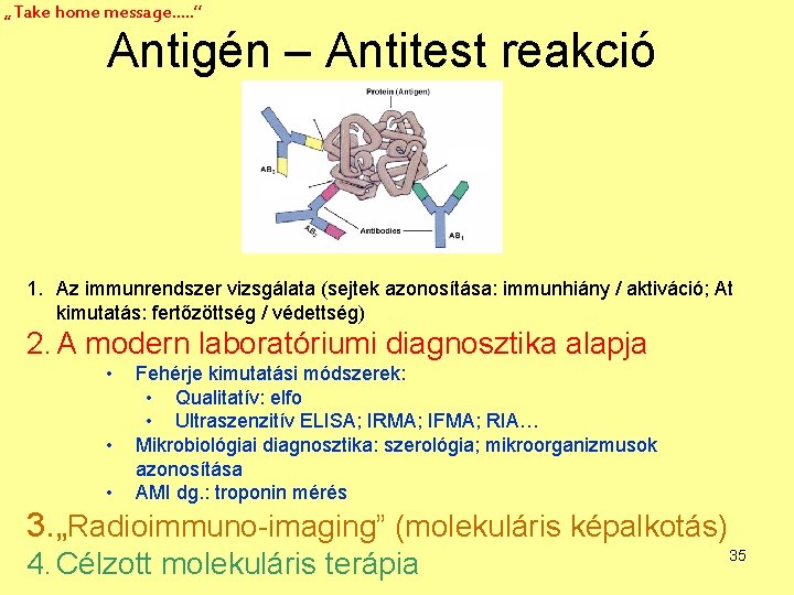 „Take home message…. . ” Antigén – Antitest reakció 1. Az immunrendszer vizsgálata (sejtek