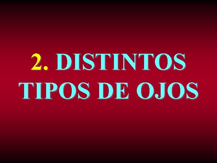 2. DISTINTOS TIPOS DE OJOS 