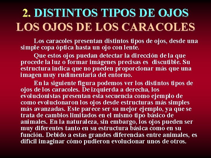 2. DISTINTOS TIPOS DE OJOS LOS OJOS DE LOS CARACOLES Los caracoles presentan distintos