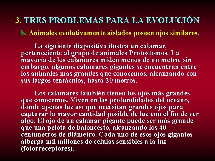 3. TRES PROBLEMAS PARA LA EVOLUCIÓN b. Animales evolutivamente aislados poseen ojos similares. La