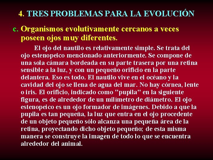 4. TRES PROBLEMAS PARA LA EVOLUCIÓN c. Organismos evolutivamente cercanos a veces poseen ojos